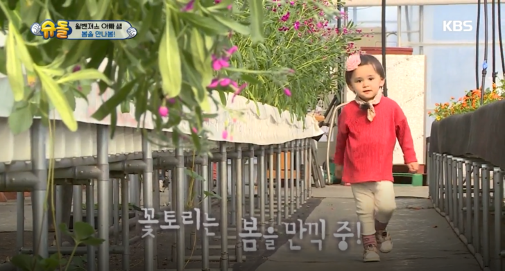 KBS2 <슈퍼맨이 돌아왔다> 캡처