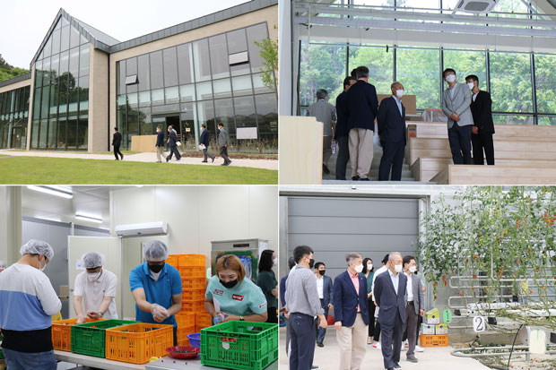 푸르메소셜팜을 둘러보는 더미라클스 회원들