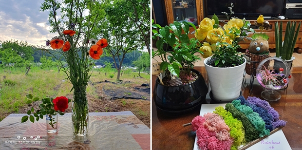 주말농장 풍경(좌), 이대평생교육원 원예치료사 과정에서 작업한 작품들(우) <유기연 약사 제공>
