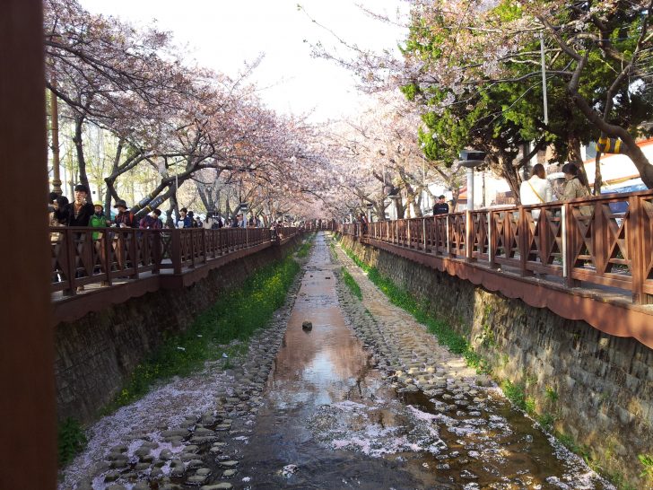 ▲ 로망스다리에는 데크로가 있어 휠체어로 편하게 이동하며 벚꽃을 감상할 수 있다.