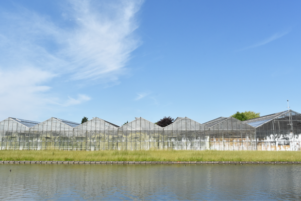 사진1> 평평한 땅에 운하와 스마트팜이 가득한 나라 네덜란드. 도시를 벗어나면 어디서나 유리온실을 쉽게 찾아볼 수 있다.