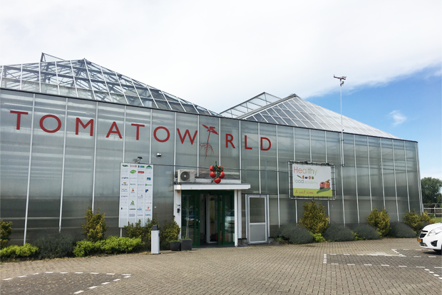 네덜란드 80여 종의 토마토를 재배하는 토마토월드 전경