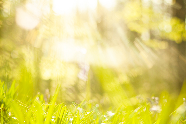 해가 내리쬐는 거리