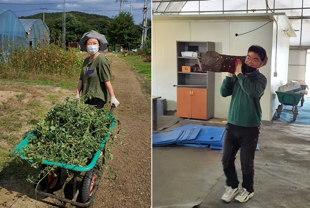 푸르메스마트팜 서울농원에서 다양한 역할을 수행하는 근로자(훈련생)들. 정성스럽게 먹거리를 키우는 일은 힘겹지만 얼굴에 미소가 가득하다.