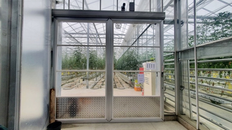 방울토마토 온실