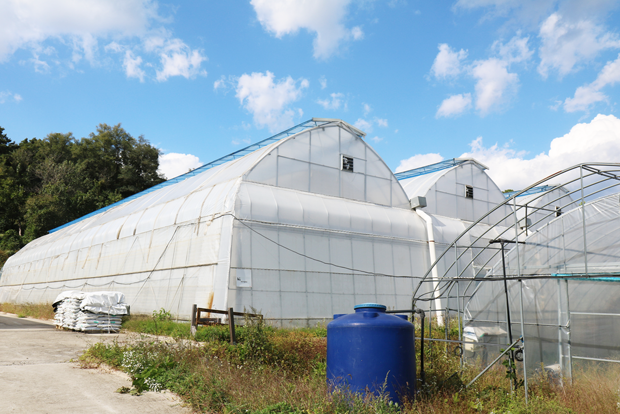 이상훈‧장춘순 부부가 푸르메스마트팜에 써달라며 기부한 경기도 여주의 부지