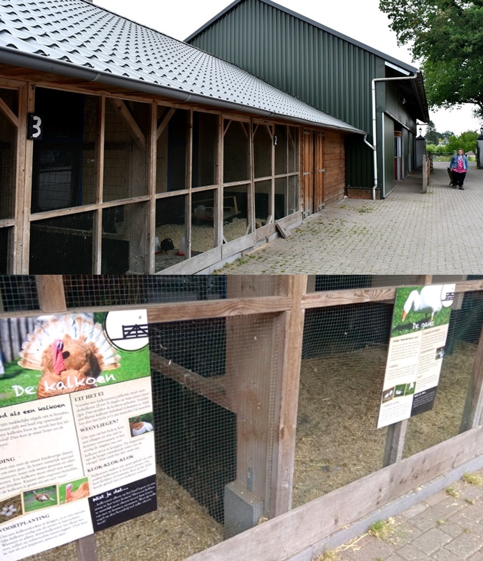 가축 축사(위)와 자원봉사자가 제작한 안내지