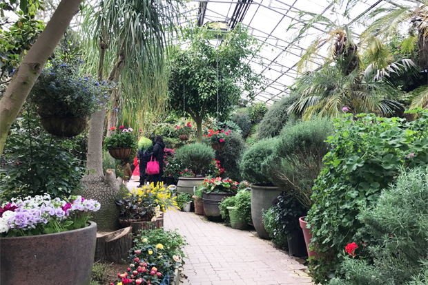 다양한 종류의 허브를 만날 수 있는 허브식물박물관