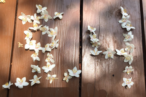 꽃잎으로 표현한 '효니'라는 두 글자