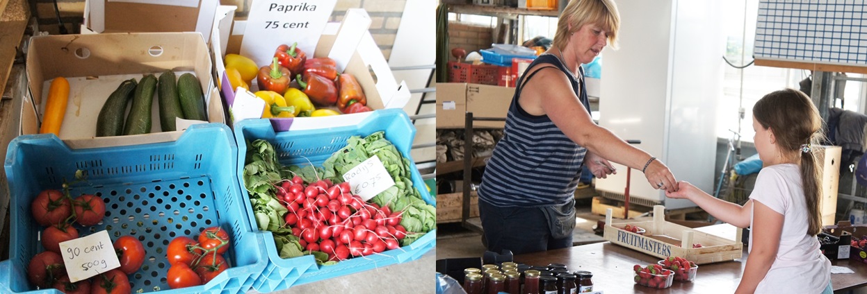농장에서 판매중인 다양한 수확물(왼쪽)과 딸기를 구입하고 있는 아이.