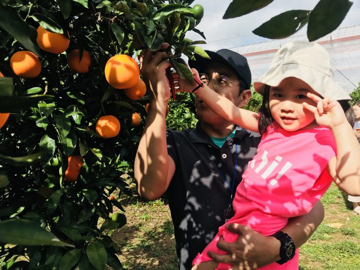 휴애리에서 즐거운 시간을 보내는 아빠와 첫째 혜빈이의 모습.. 
