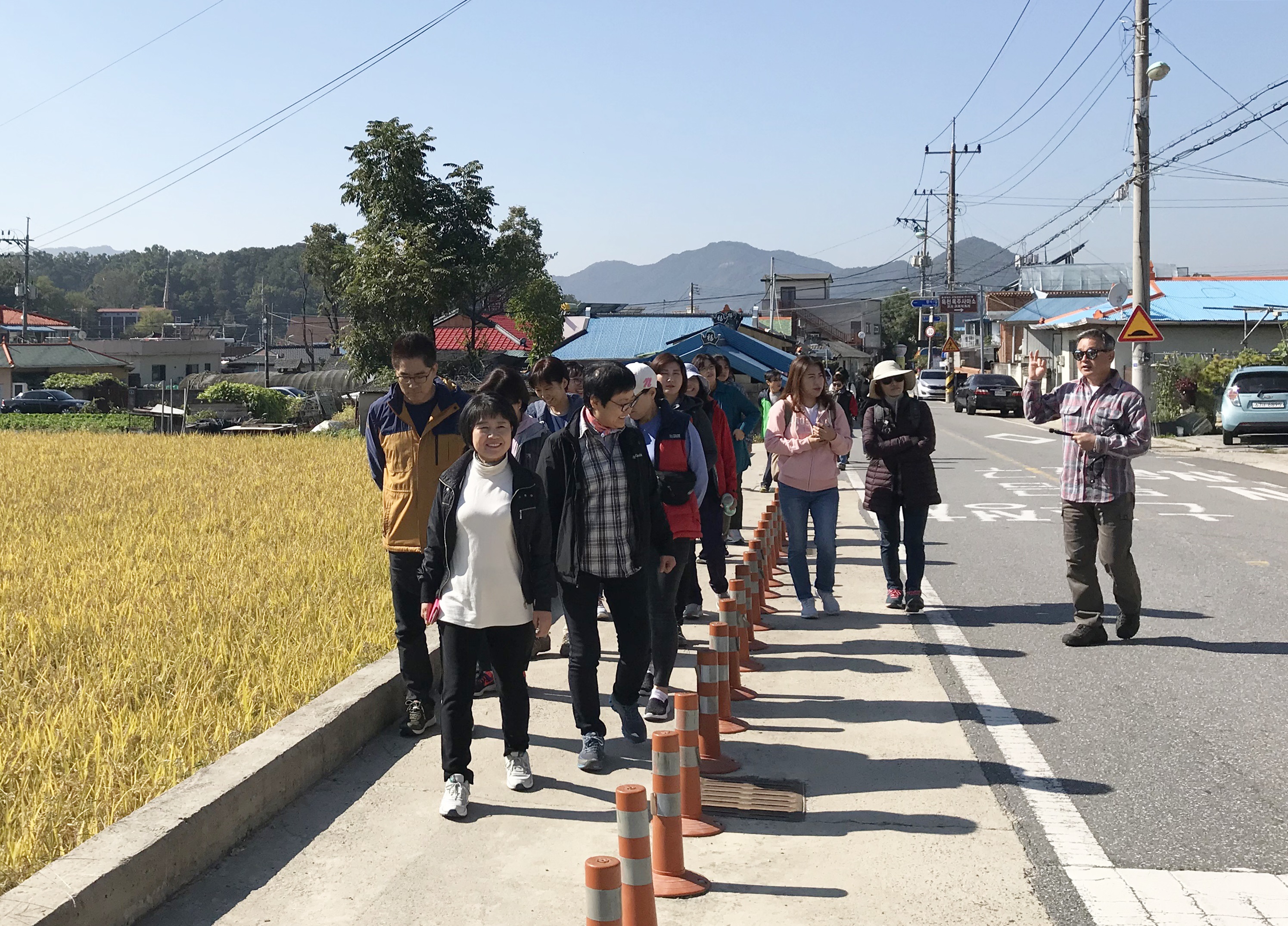 충청북도 옥천 읍내의 황금빛 들판을 옆에 두고 걷기 시작하는 참가자들. 
