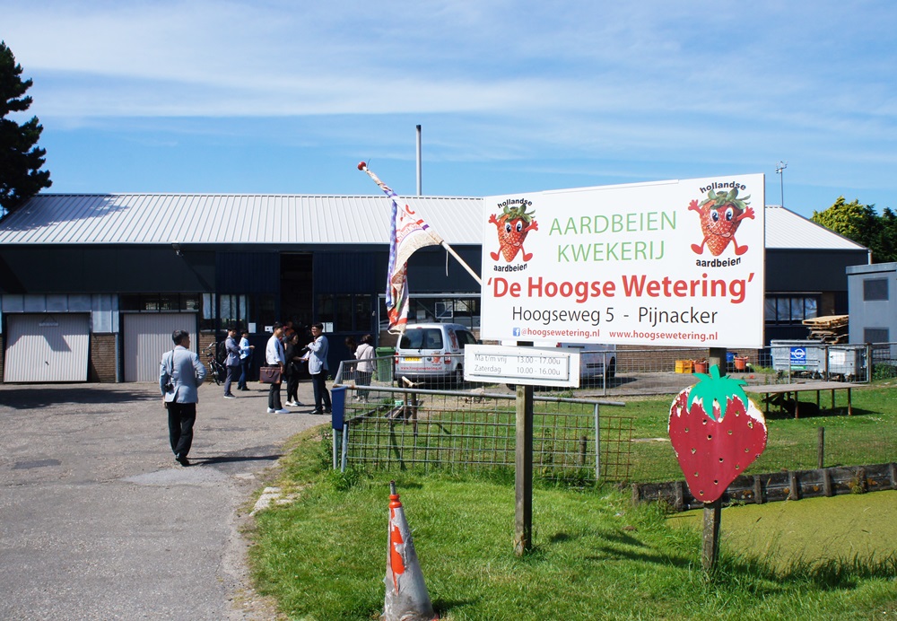 농장 앞에 설치된 Hoogsewetering 간판이 우리를 환영하고 있다.