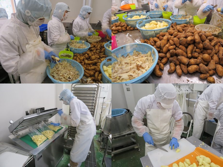 위생적으로 관리된 공장에서 감자 가공 작업을 하고 있는 장애인 직원들.