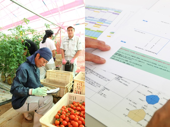 모회사가 IT기업인 강점을 살려 하청 받은 업무는 철저하게 데이터 관리한다.