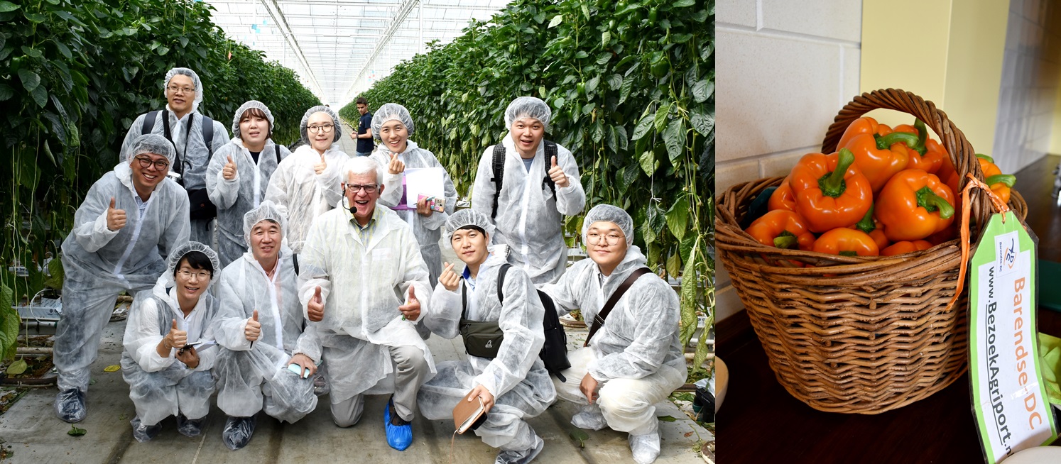 “파프리카” 농장에서 찍은 단체사진과 베쥬크 농장에서 수확한 파프리카.