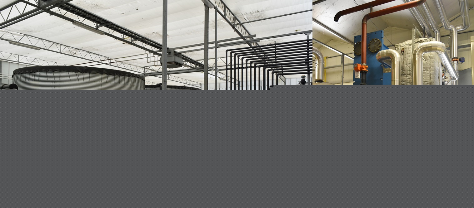  베쥬크 농장의 다양한 설비 사진.