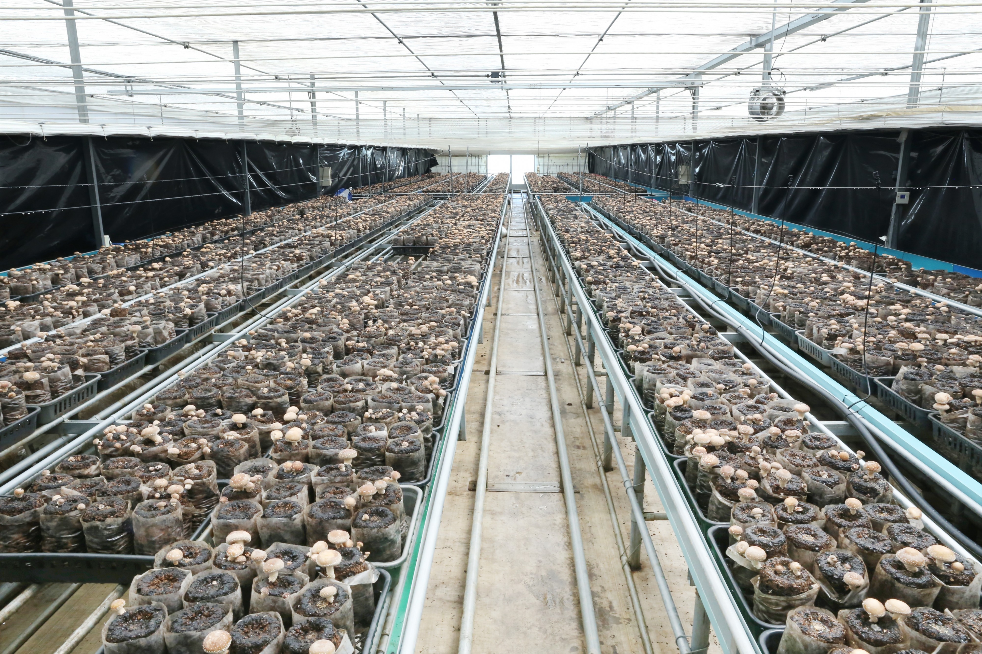 아들을 위해 만든 여주 우영농원. 출처=우영농원 홈페이지 