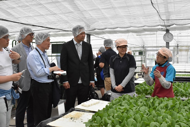 교마루엔 농장 수경부에서 근무하는 사회 복지사 우치야마 미호 씨의 설명을 경청하고 있는 푸르메재단 직원들.