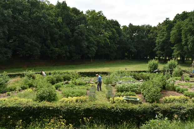 네덜란드 도시형 케어팜 후버 클라인 마리엔달 농장에서 밭일을 하는 농장 이용객의 모습. 이곳은 정신적, 신체적 장애를 가진 사람들과 치매 환자들에게 농사 체험 및 학습 프로그램을 제공하는데, 이용객들을 ‘환자’가 아닌 ‘고객’으로 대한다.