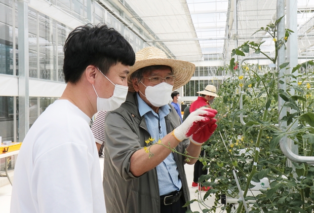 김상우 푸르메소셜팜 재배팀장에게 방울토마토 키우는 노하우를 알려주고 있는 황보태조 기부자