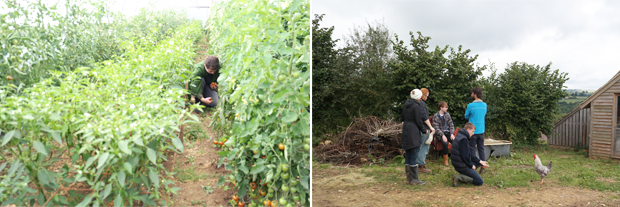 온실에서 작업 중인 러스킨 밀 대학 학생(왼쪽), 닭과 소통하는 자폐학생들(오른쪽)