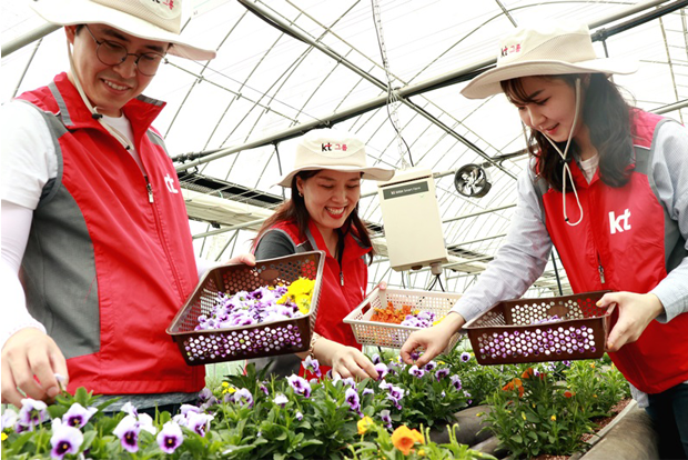 시설하우스 안에서 꽃잎을 따고 있는 자원봉사자들