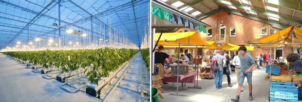 첨단 기술을 접목한 대형 유리온실과 장애청년의 농산품을 판매할 주말 마켓 (푸르메재단 DB)