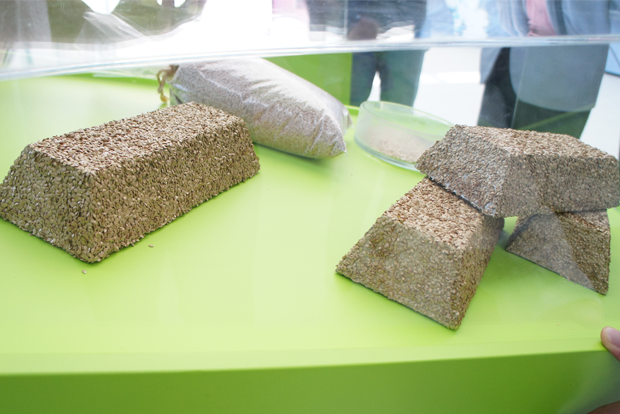 골드바(gold bar) 모양의 토마토 종자