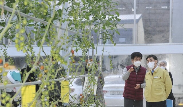 지난 12월 20일 양성일 보건복지부 1차관이 푸르메여주팜을 방문해 사업장을 시찰하고 있다 [사진=연합뉴스]