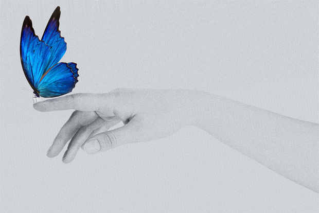 파란 나비를 손에서 놓아주고 있는 모습