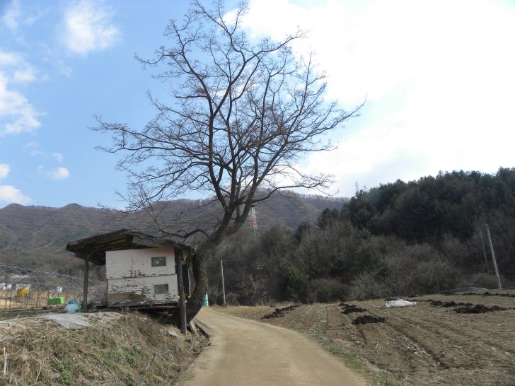 ▲ 김유정의 고향 실레마을에는 그의 작품에 등장하는 다양한 길들과 만날 수 있다. 문학기행을 온 여행객에게 인기만점.