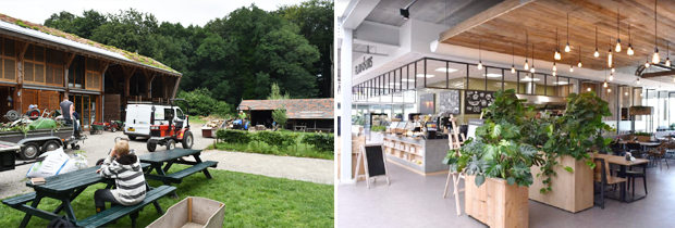 장애인과 비장애인이 상생하는 체험교육장과 카페·레스토랑 (푸르메재단 DB)