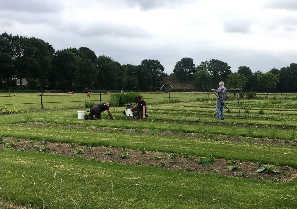 이용객들이 밭일을 하는 모습