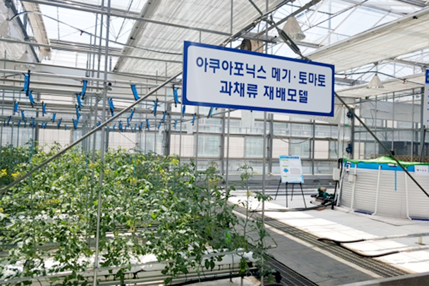 친환경 농업 기술로 각광받고 있는 아쿠아포닉스 (출처 : 경기도농업기술원)