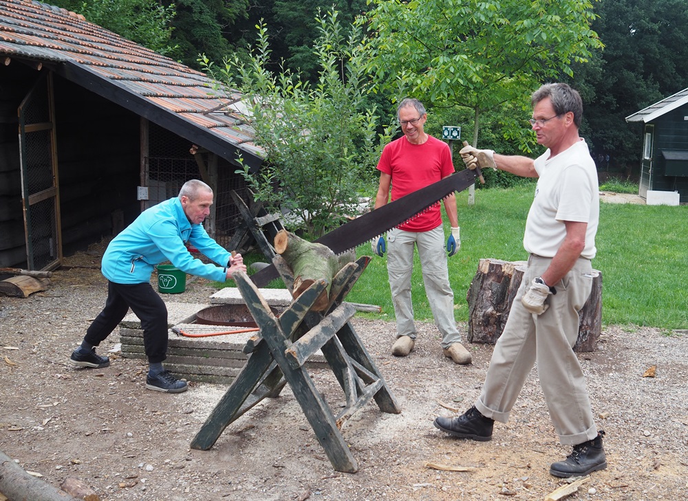 땔감을 마련하기 위해 나무를 자르는 사람들