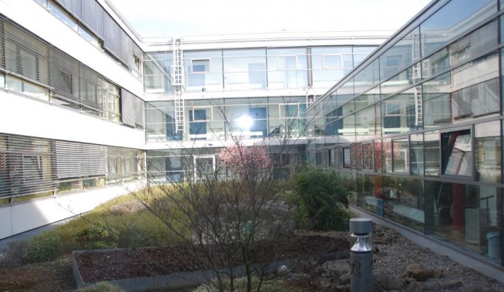 ▲ 병동 가운데에 나무를 심어 자연을 느낄 수 있도록 했다.