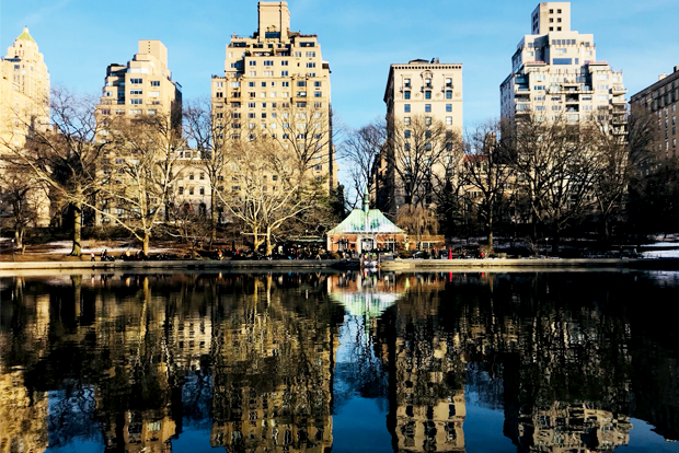 맨해튼 중심에 위치한 센트럴 파크