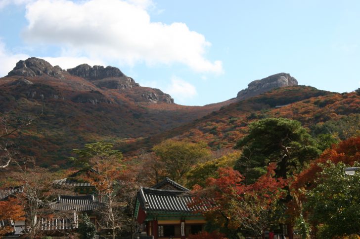 ▲ 대흥사 전경. 대흥사는 신라 진흥왕 5년(544년)에 아도화상이 창건된 이후 병풍처럼 둘러싼 웅장한 두륜산의 보호를 받으며 1500년의 세월을 지내왔다. (출처 : daeheungsa.kr/photo/main.asp?bseq=2&mode=view&cat=-1&aseq=1367&page=3&sk=&sv=)