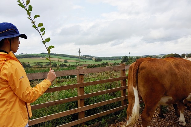 민준이는 캠프힐에서 소를 돌보고 작물을 수확하며 자연이 주는 기쁨과 일의 보람을 만끽했다. (고경미 씨 제공)