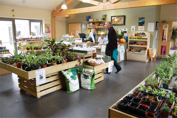 학생들이 재배한 농산물 판매 마켓