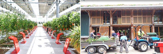 푸르메스마트팜 건립에 참고할 농업과 복지가 결합된 네덜란드 6차산업 현장