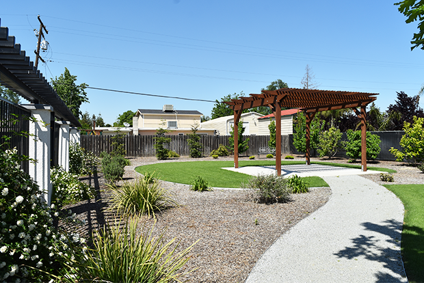 주변이웃과 담 하나를 사이에 둔 뒷마당