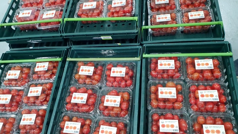 토마토 포장 완료