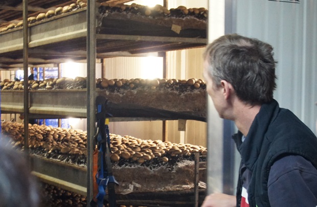 한창 버섯이 자라나고 있는 1차 수확기 유닛을 보여주는 에드워드씨.