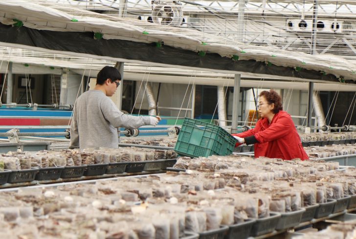 아들과 함께 일하는 권옥미 씨.