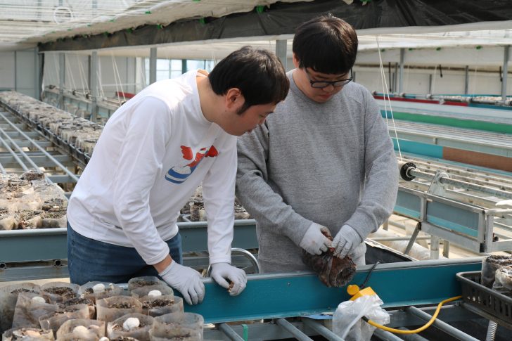 동료에게 버섯 따는 비법을 전수하는 장애인 직원.