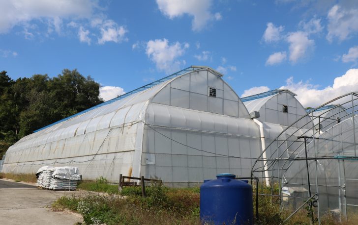 경기도 여주에 위치한 표고버섯 스마트팜 외관.