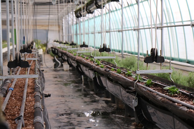 남양주에 위치한 푸르메스마트팜 서울농원