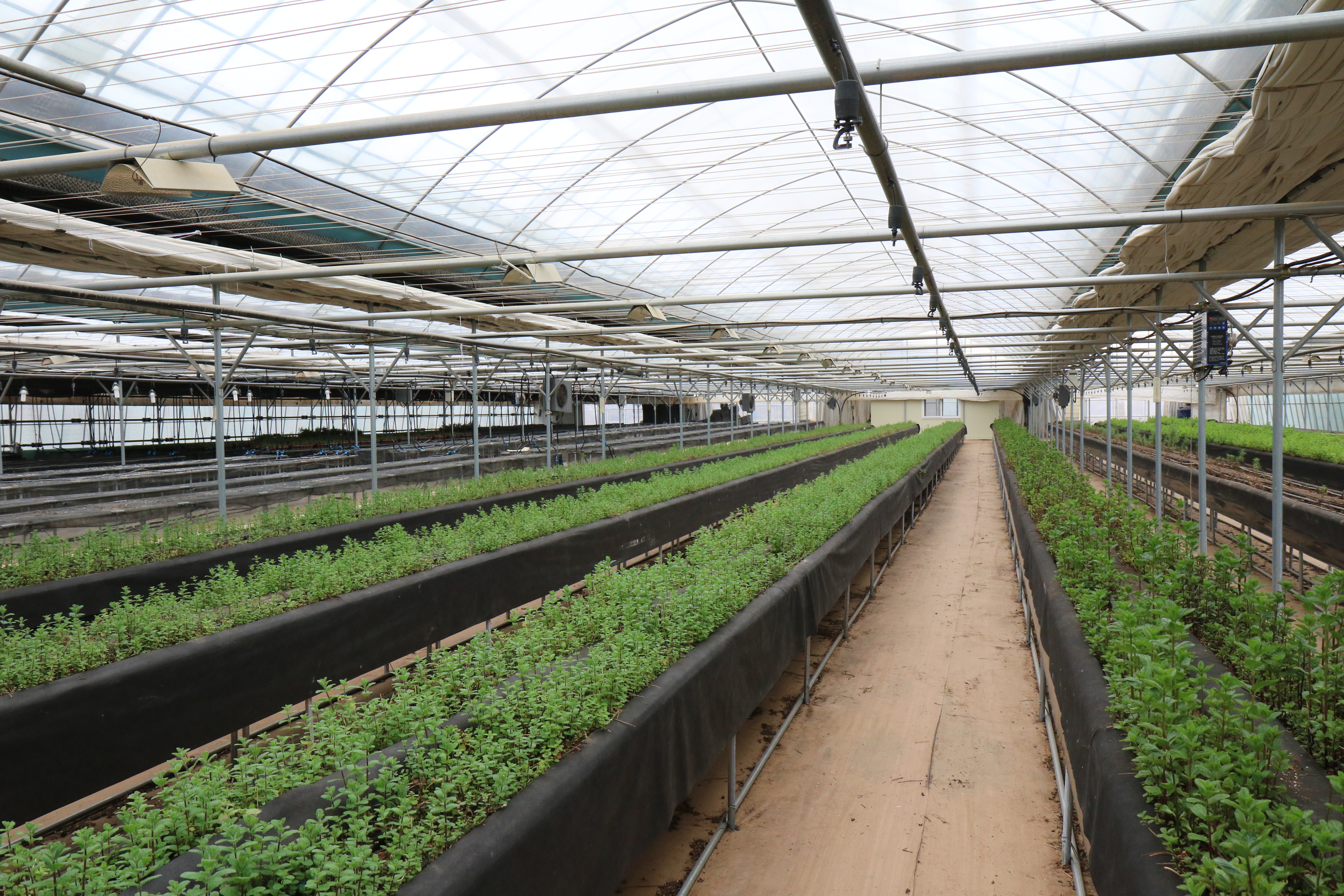 발달장애인이 자기 힘으로 싹을 틔우는 순간 자존감도 함께 자라난다.